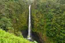 Kahului: hawaii, akaka falls, Akaka falls state park