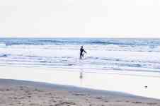 Kahului: beach, waves, surfer