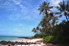 Kahului: beach, sea, palm